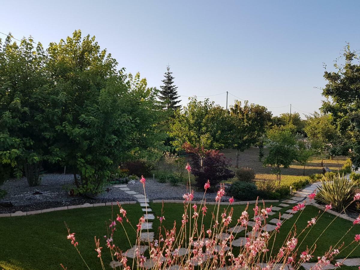 M&A Relax Villa Martina Franca Dış mekan fotoğraf